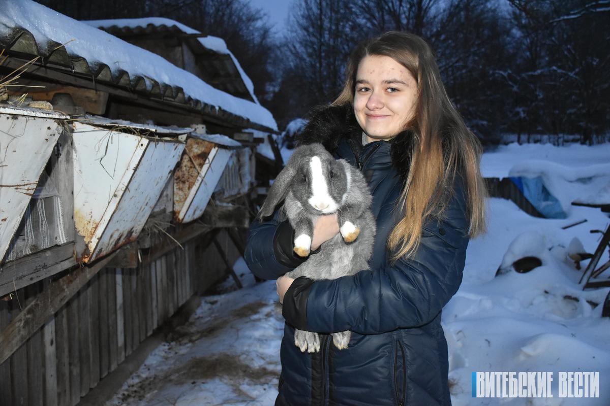 Кроличье царство: как семья Телюк из Лепельского района содержит на подворье ушастых питомцев