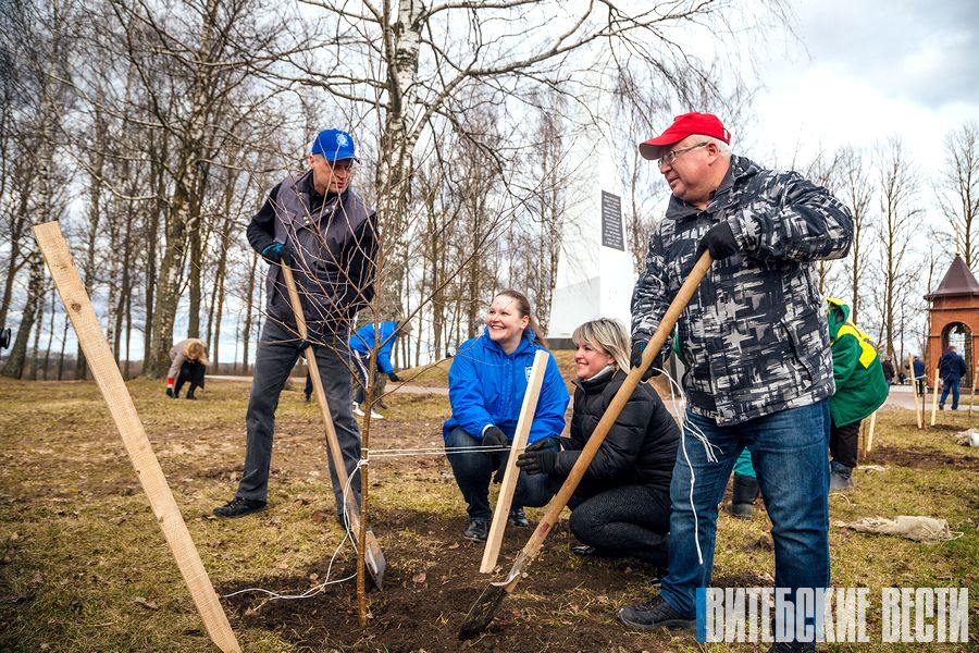 В Витебске свыше 100 человек приняли участие в благоустройстве мемориального комплекса «5-й полк»