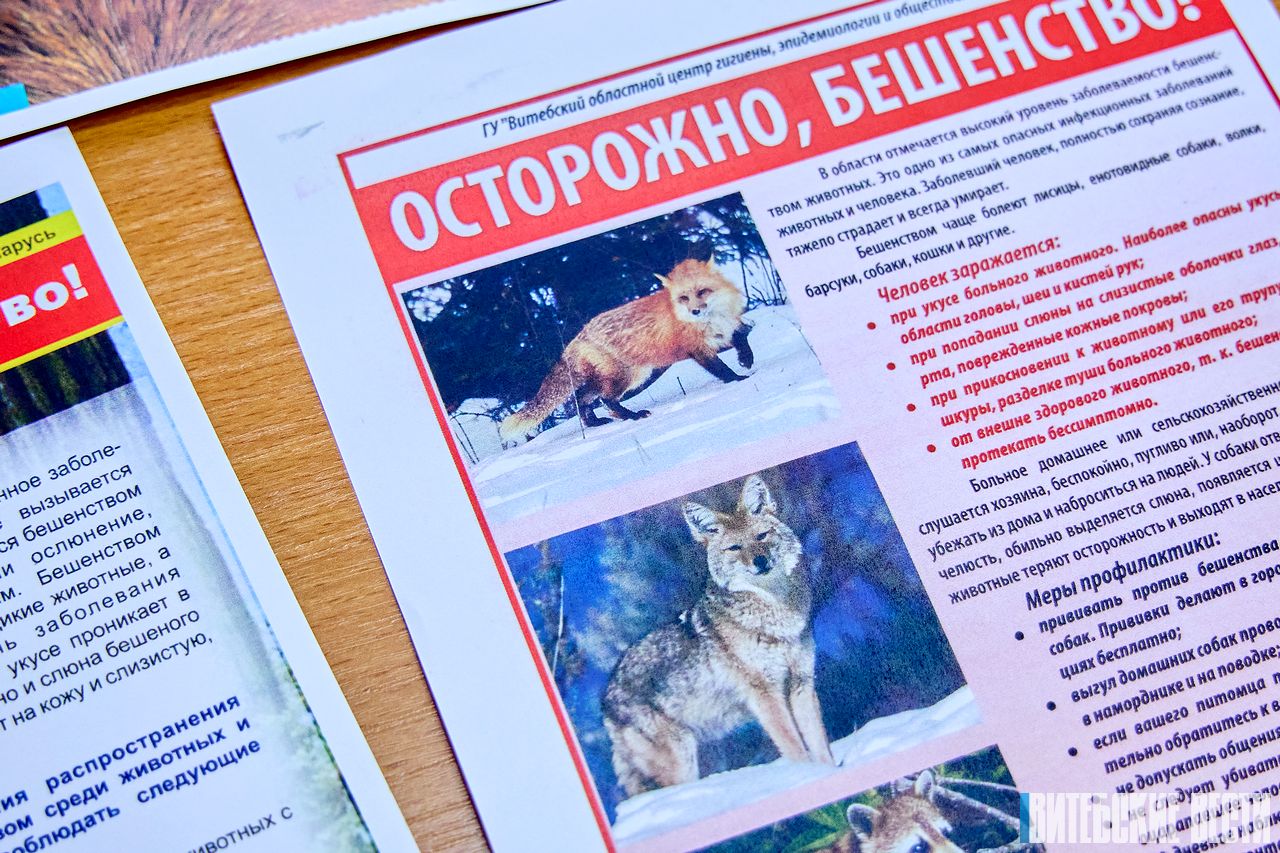 Бешенство. Что нужно знать, чтобы защитить себя и своих питомцев?