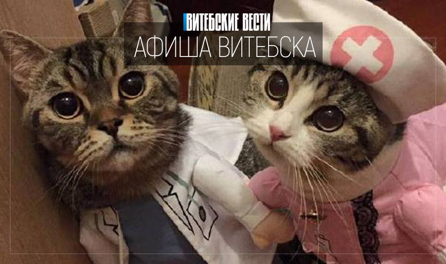 Терапия прекрасным. Как провести выходные в Витебске?