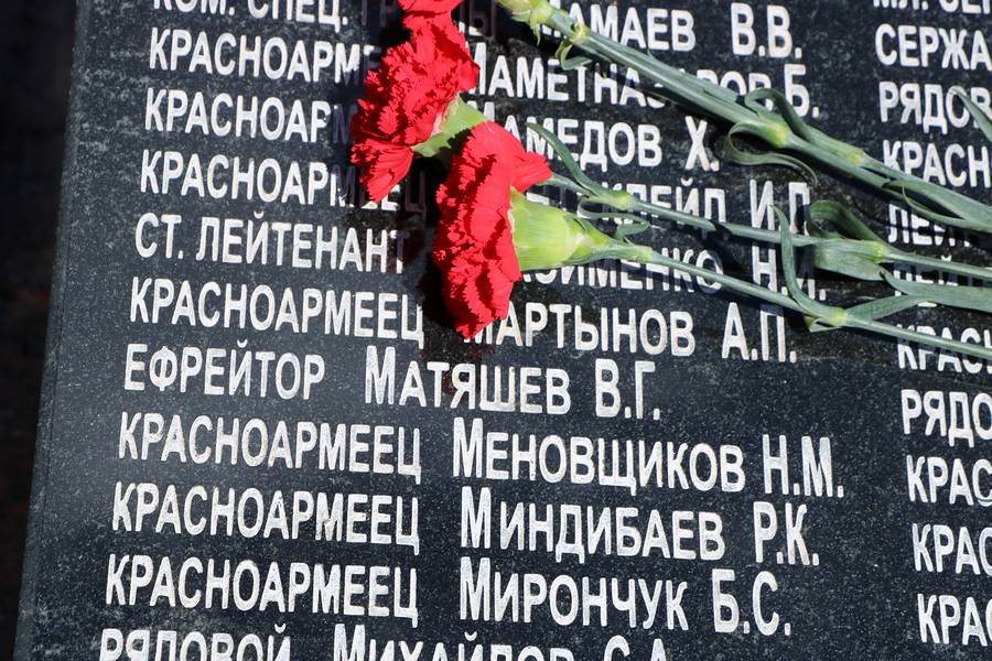 Семья из Воронежа почтила память предка, погибшего в Поставах в годы войны