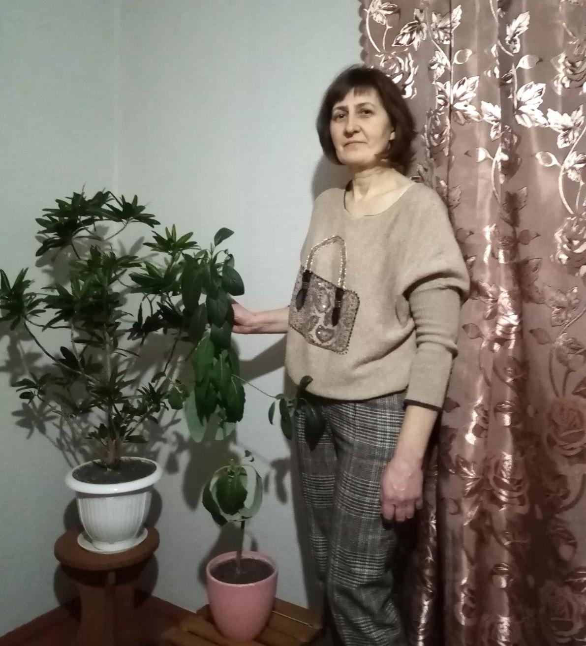 Эксперимент на окне: женщина из Чашник вырастила авокадо высотой в 70 см