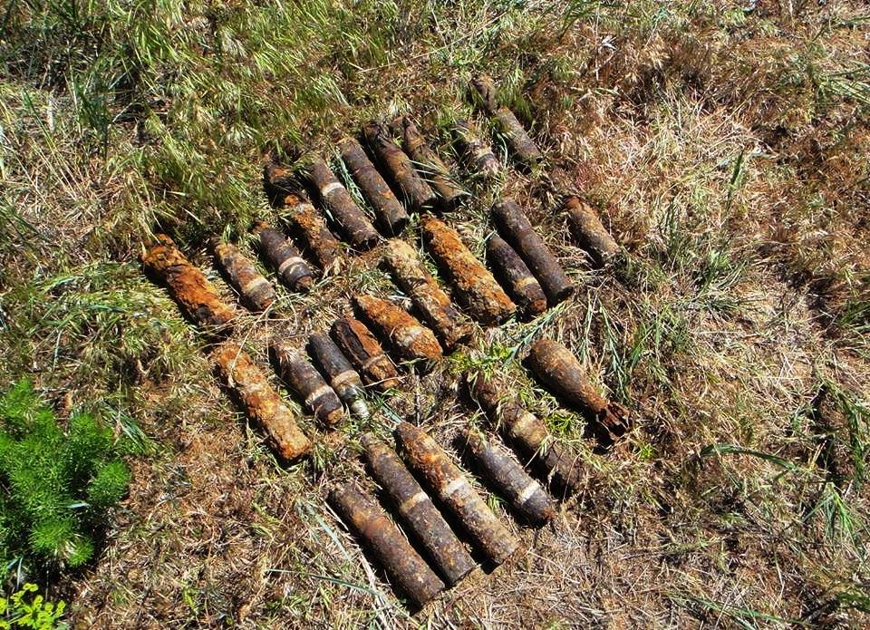 В Витебском районе грибник обнаружил мины времен ВОВ