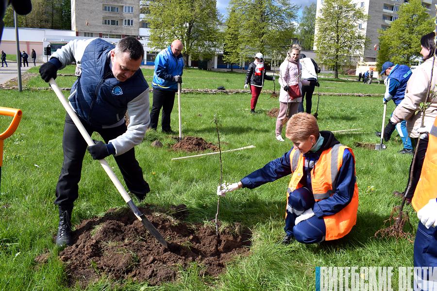 Александр Субботин принял участие в закладке сквера «Юность» в Новополоцке 