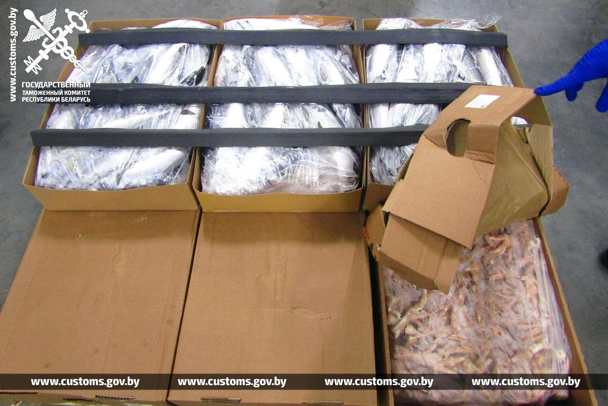 Скумбрия под прикрытием. Витебские таможенники  установили факт незаконного перемещения 20 тонн замороженной рыбы