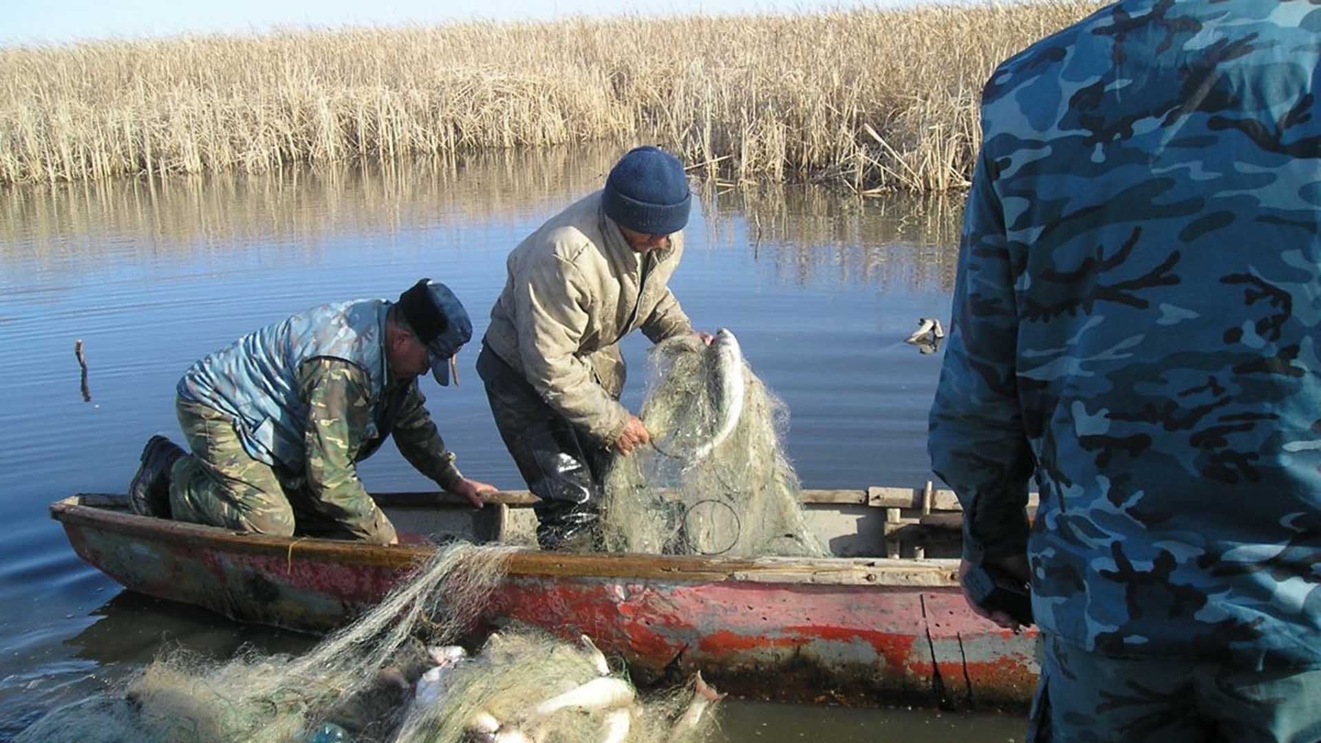 В Полоцком районе браконьер избил сотрудника природоохраны