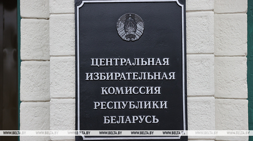 Территориальными комиссиями по выборам Президента Республики Беларусь аккредитованы 593 национальных наблюдателя