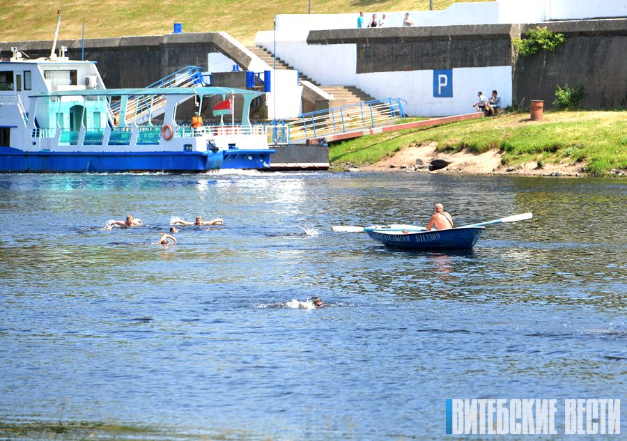 В Витебске прошел марафонский заплыв, посвященный Дню города