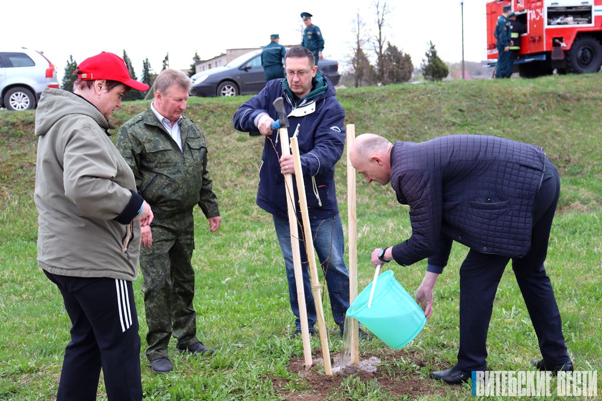 В Дубровно на субботнике заложили липовый сквер в честь Года мира и созидания