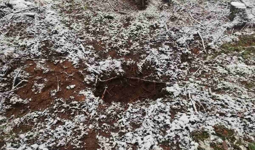 В Полоцком районе компания парней заставила знакомого рыть для себя могилу 