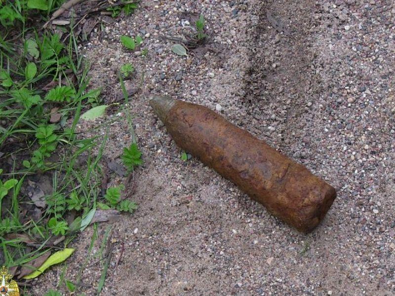 Более 100 боеприпасов времен Великой Отечественной войны нашли в Витебском районе