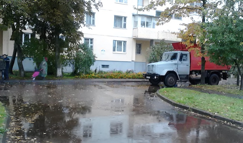Следователи разыскивают очевидцев наезда мусоровоза на пенсионера в Витебске