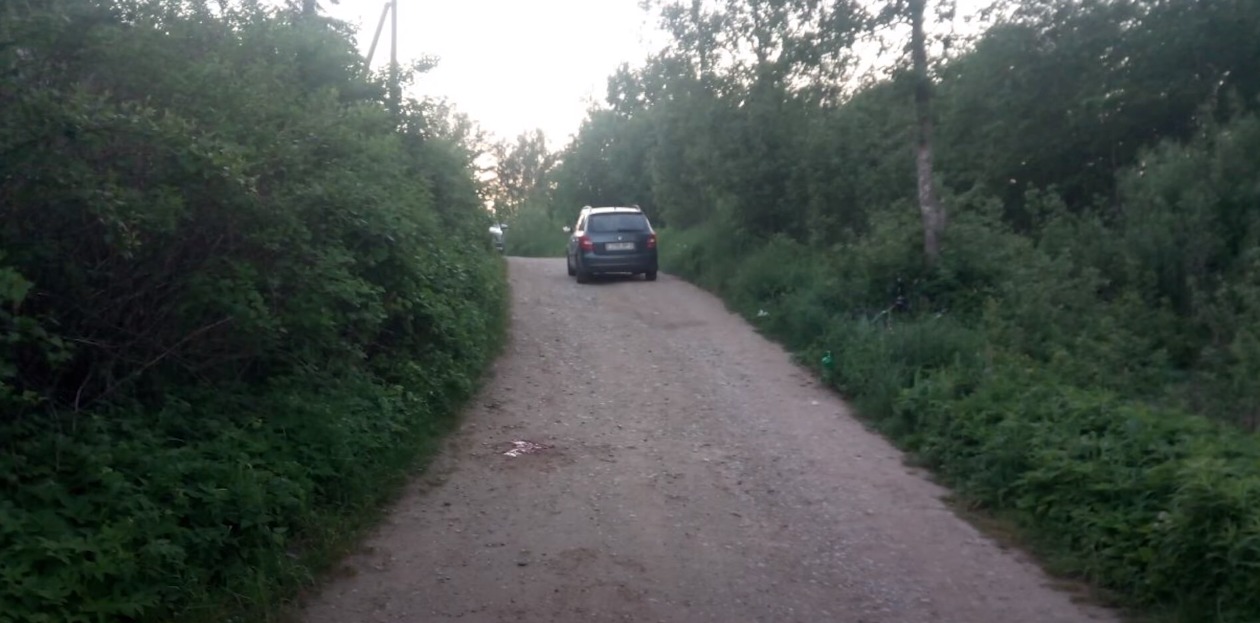 Под Витебском иномарка сбила пьяного велосипедиста