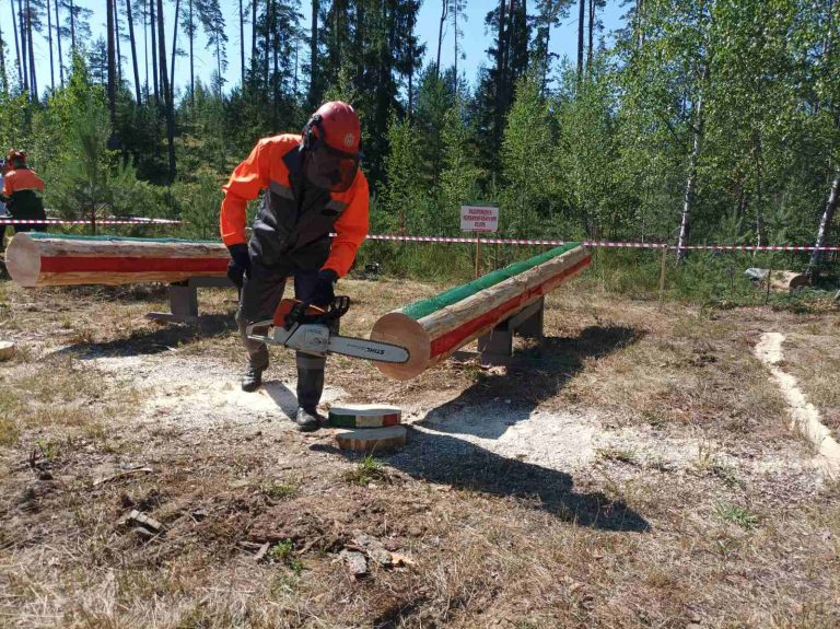 В горпоселке Езерище определили лучших вальщиков леса Городокского района