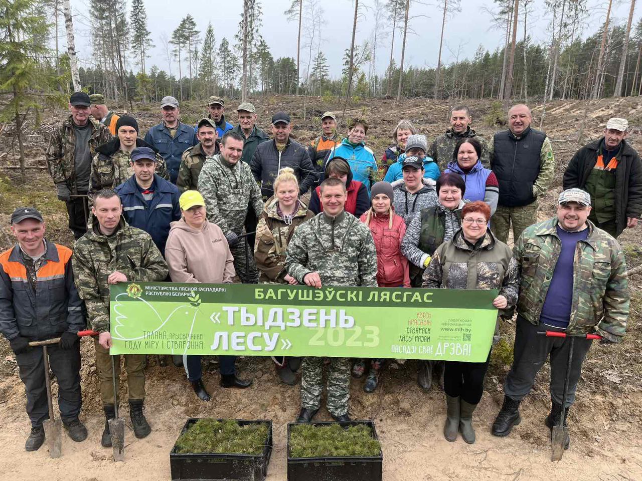 В Витебской области "Неделя леса" продлится с 15 по 22 апреля