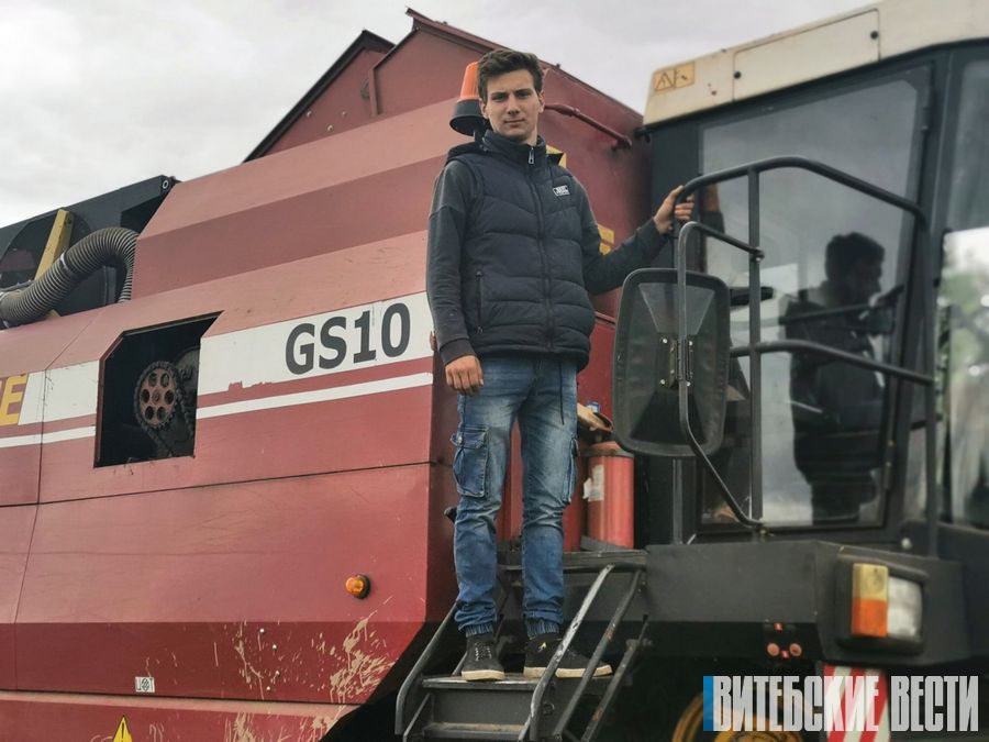 Учащиеся Городокского аграрно-технического колледжа вносят свою лепту в уборку урожая