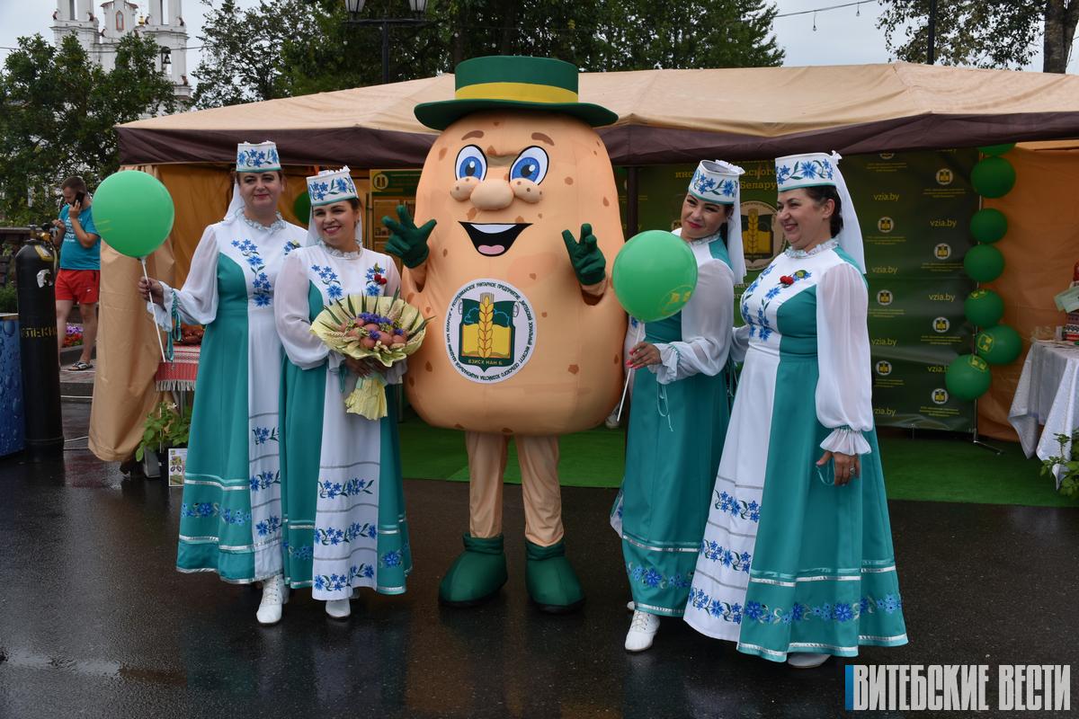 Фотофакт: В Витебске проходит областной гастрономический фестиваль «Бульба-Картошка-Potatoes»