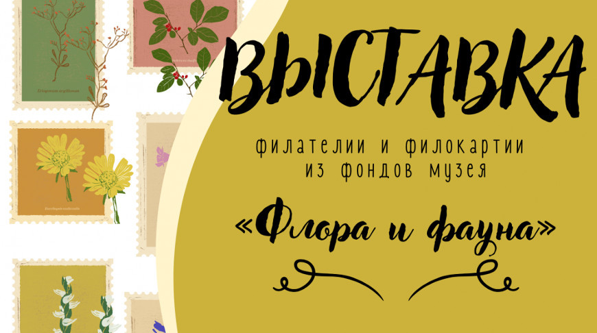 Выставку марок и открыток о флоре и фауне Беларуси и зарубежья представят в Новополоцке