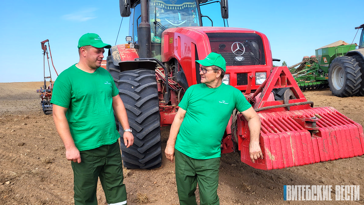В ОАО «Маяк Высокое» Оршанского района вырабатывают своё рапсовое масло, на очереди подсолнечное