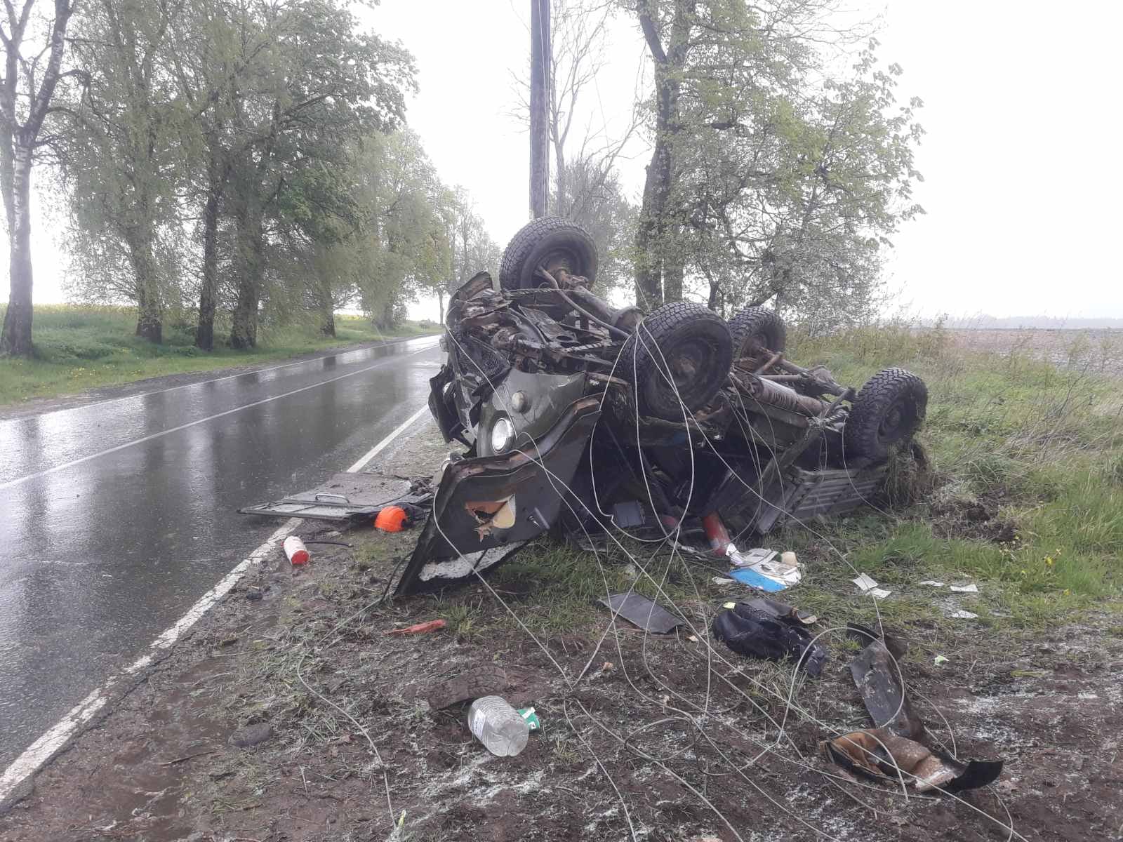 В Толочинском районе грузовик влетел в столб и перевернулся