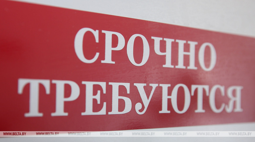 5 вакансий приходится на одного безработного в Витебской области