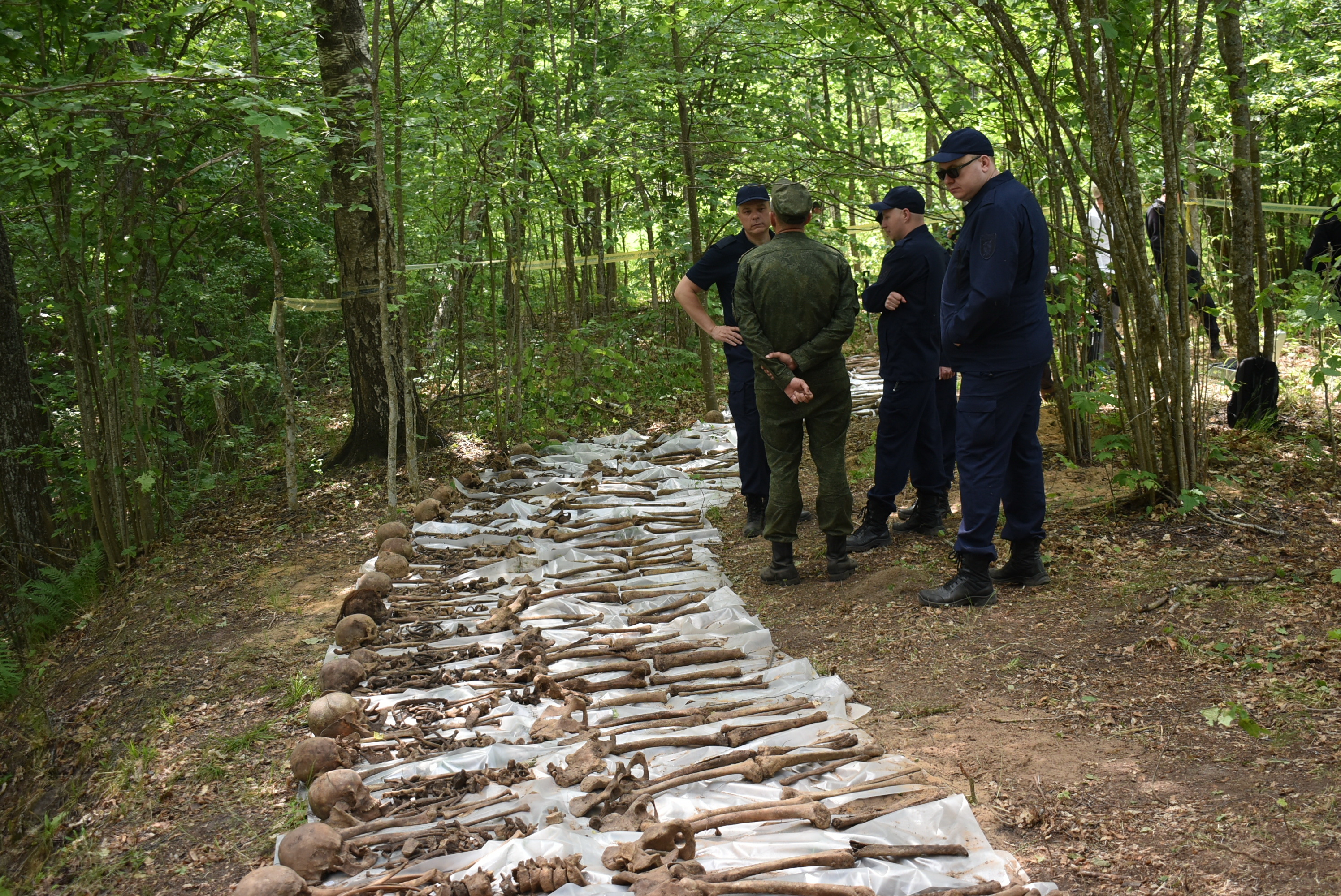 В Лиозненском районе установлено новое место массового захоронения жертв геноцида белорусского народа в годы Великой Отечественной войны 