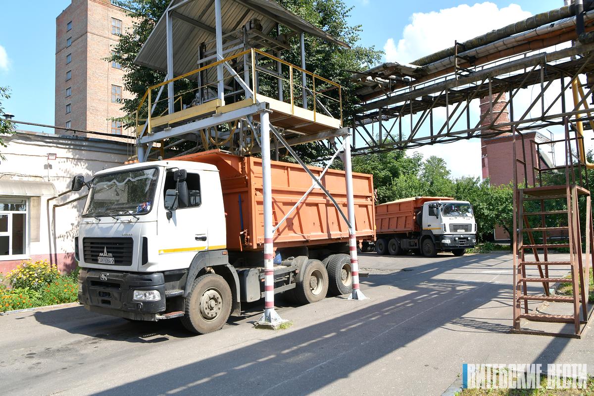 БОЛЬШОЙ РЕПОРТАЖ: До 40 машин в сутки. Витебский комбинат хлебопродуктов заготавливает зерно