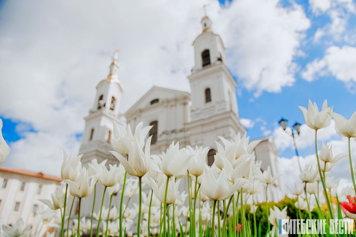Погода в Витебске на 31 мая: ночью заморозки, днём до +15°C