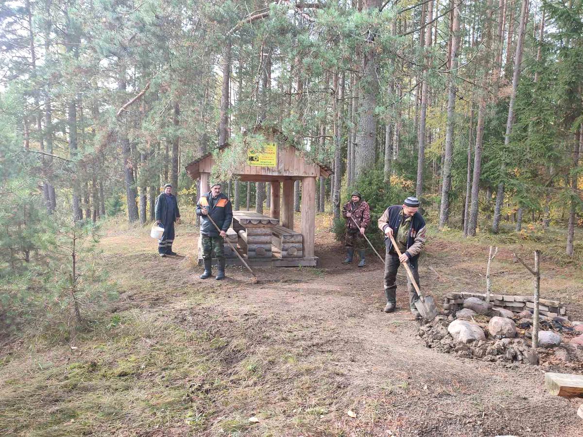 Лесхозы Витебской области активно принимают участие в республиканском смотре-конкурсе «Сделаем лес чище за 50 дней!»