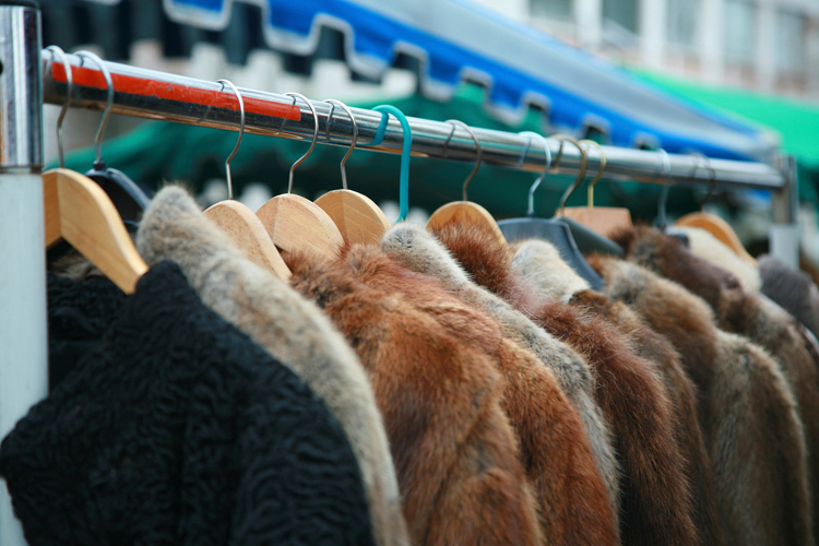 В Витебске будут судить мошенницу за продажу в интернете несуществующих шуб 