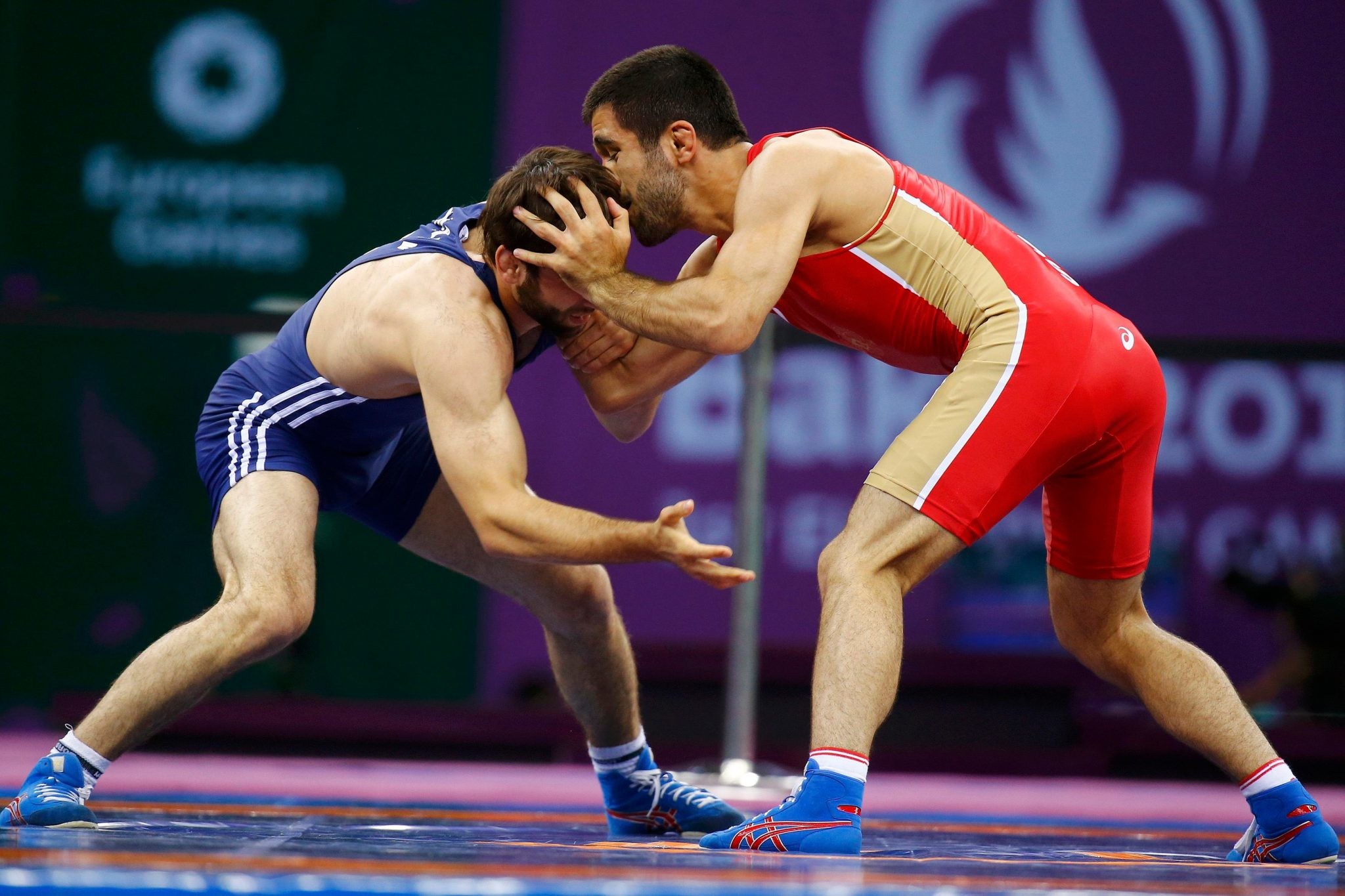 Витебчане завоевали семь медалей на чемпионате Беларуси по спортивной борьбе