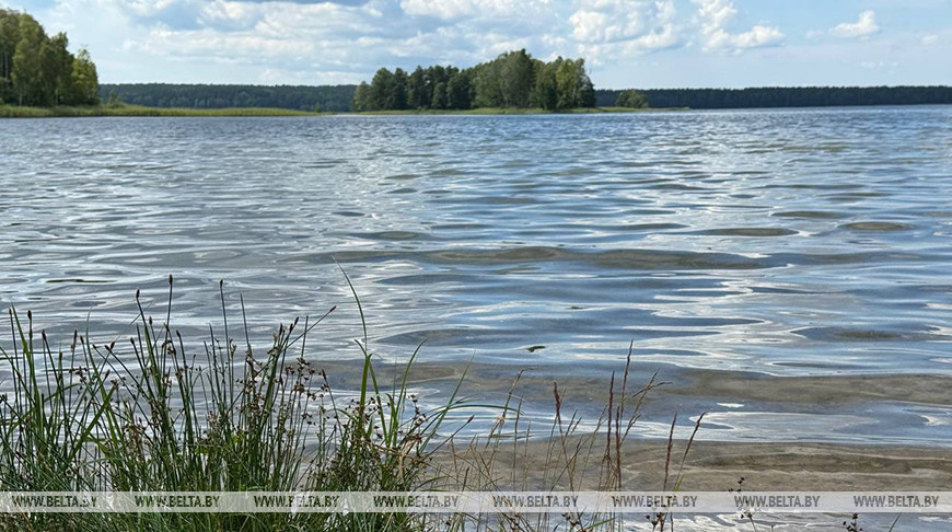 Перечни водоемов для ведения рыболовного хозяйства и рыбоводства обновили в Беларуси