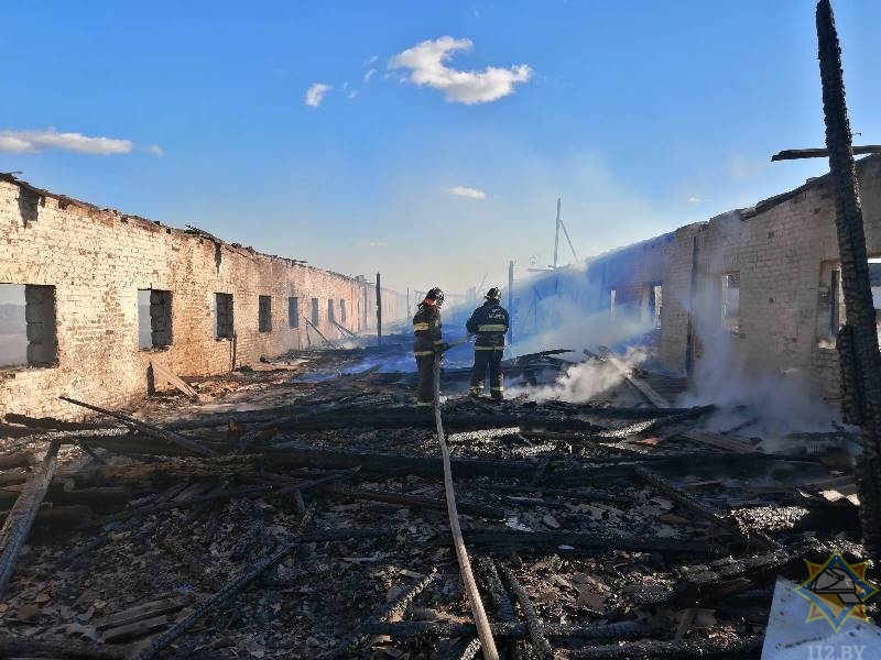 В Чашникском районе на молочно-товарной ферме загорелась конюшня
