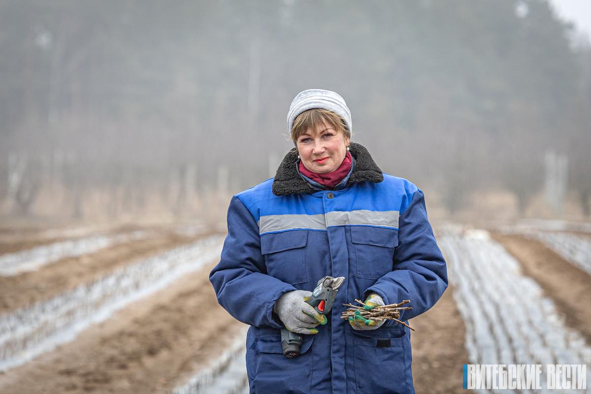 Популярные сорта и правила подкормки. Эксперт рассказала об уходе за клубникой и голубикой