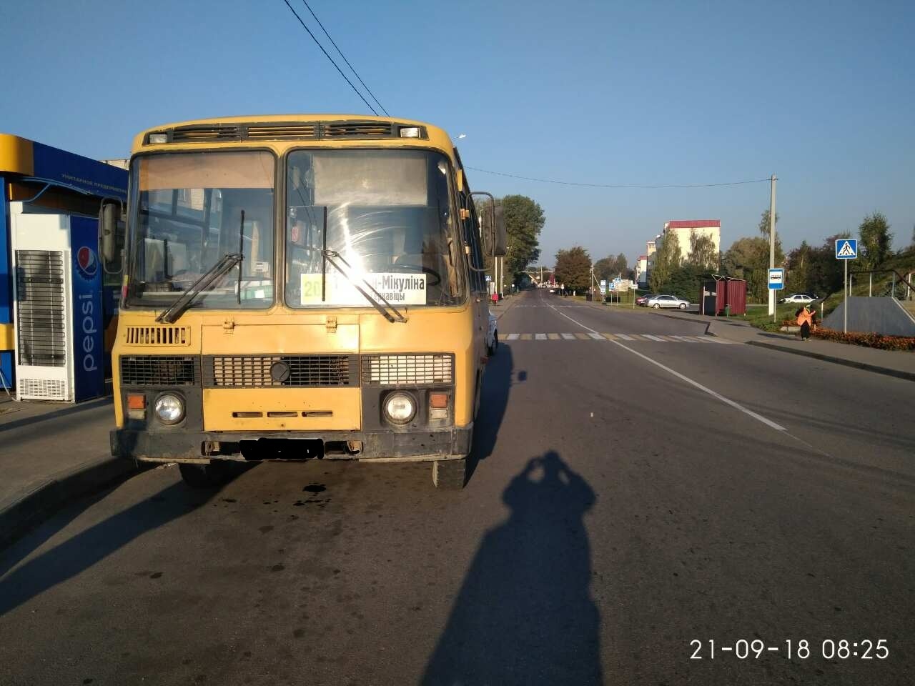 В Толочине автобус сбил 12-летнюю школьницу