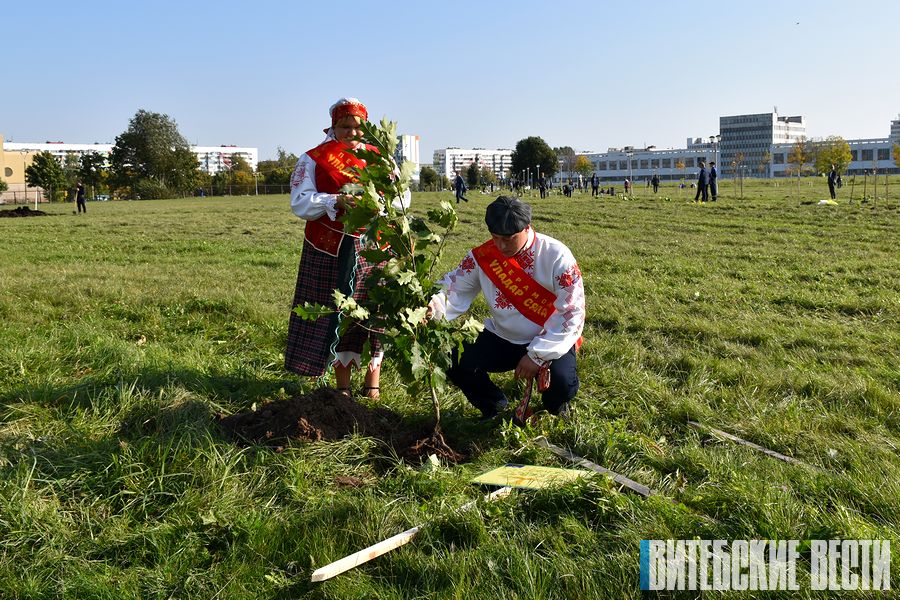 В парке 1000-летия Витебска заложена «Семейная аллея»