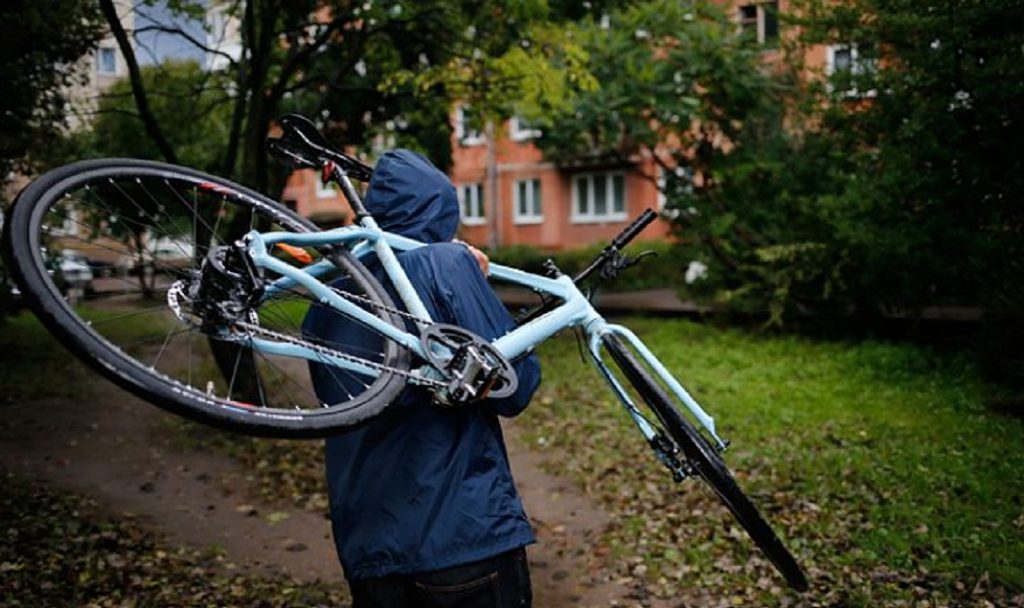 Два хулигана, снятые с поезда в Богушевске, оказались велосипедными ворами