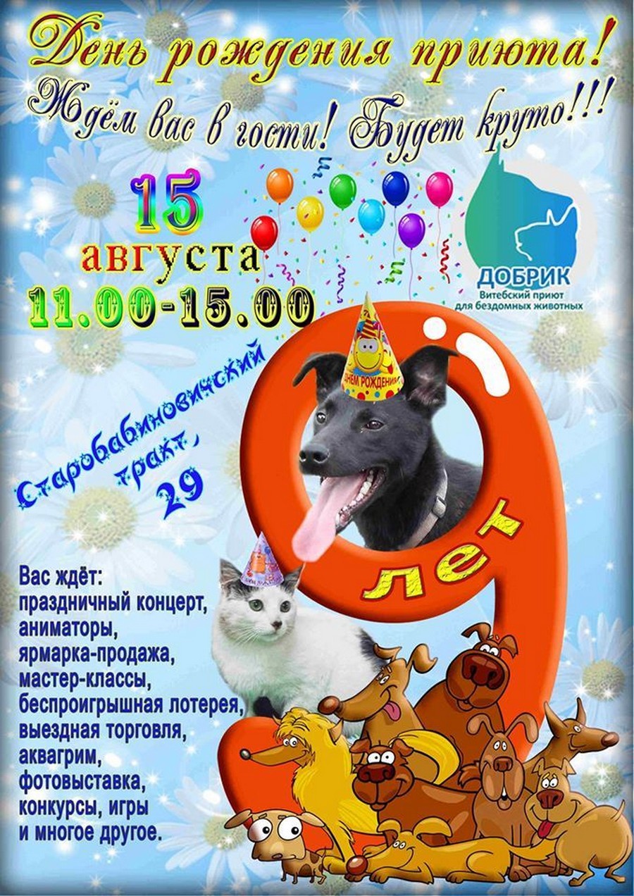 Витебский приют для животных «Добрик» приглашает детей и взрослых на свой день рождения