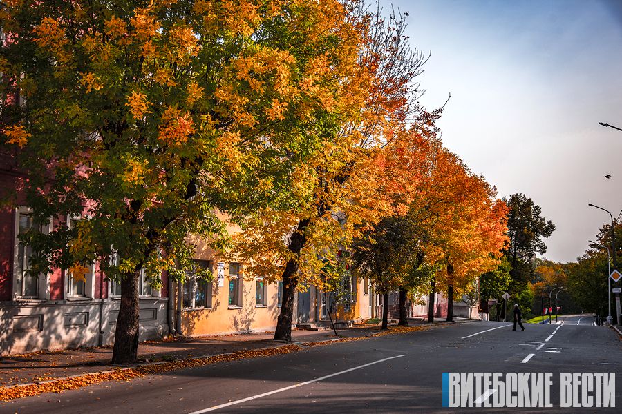 Туман и до +19°С ожидается в Беларуси 10 октября