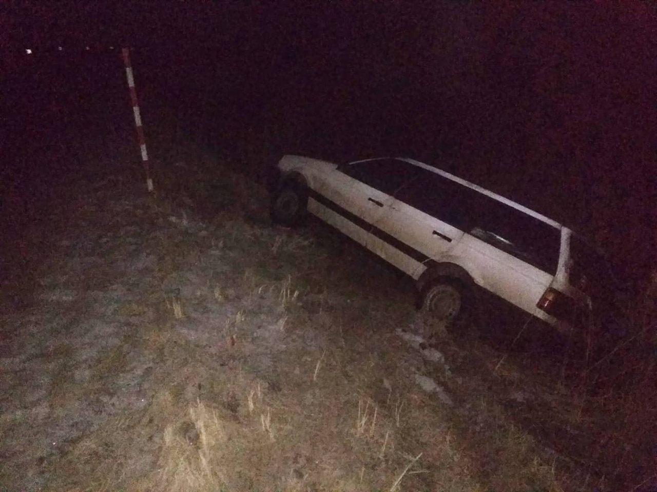 На трассе в Городокском районе погиб пешеход