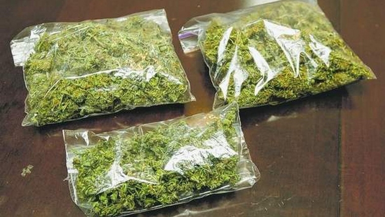 Двое жителей Витебска задержаны с крупной партией марихуаны