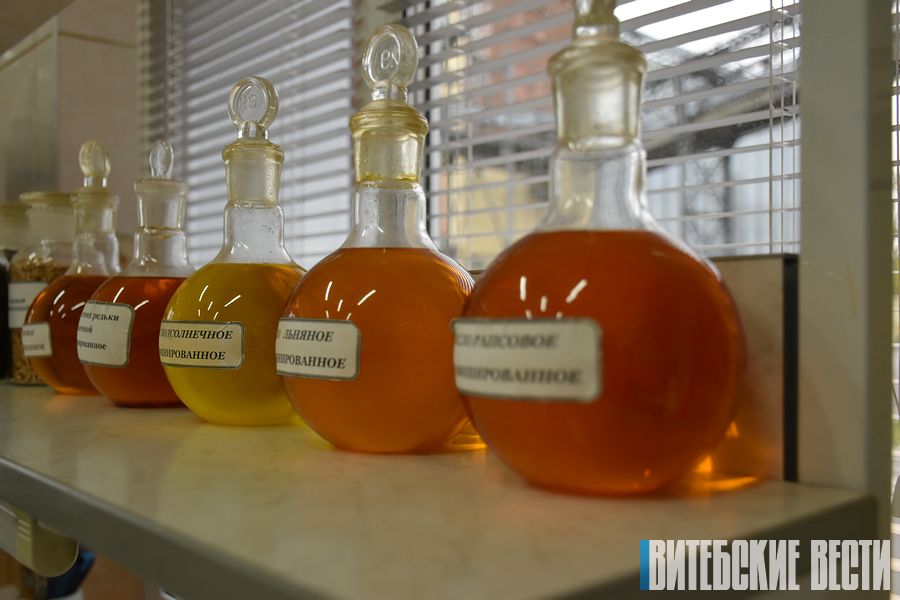 Свыше 100 тыс. тонн масличных культур перерабатывает Витебский МЭЗ ежегодно