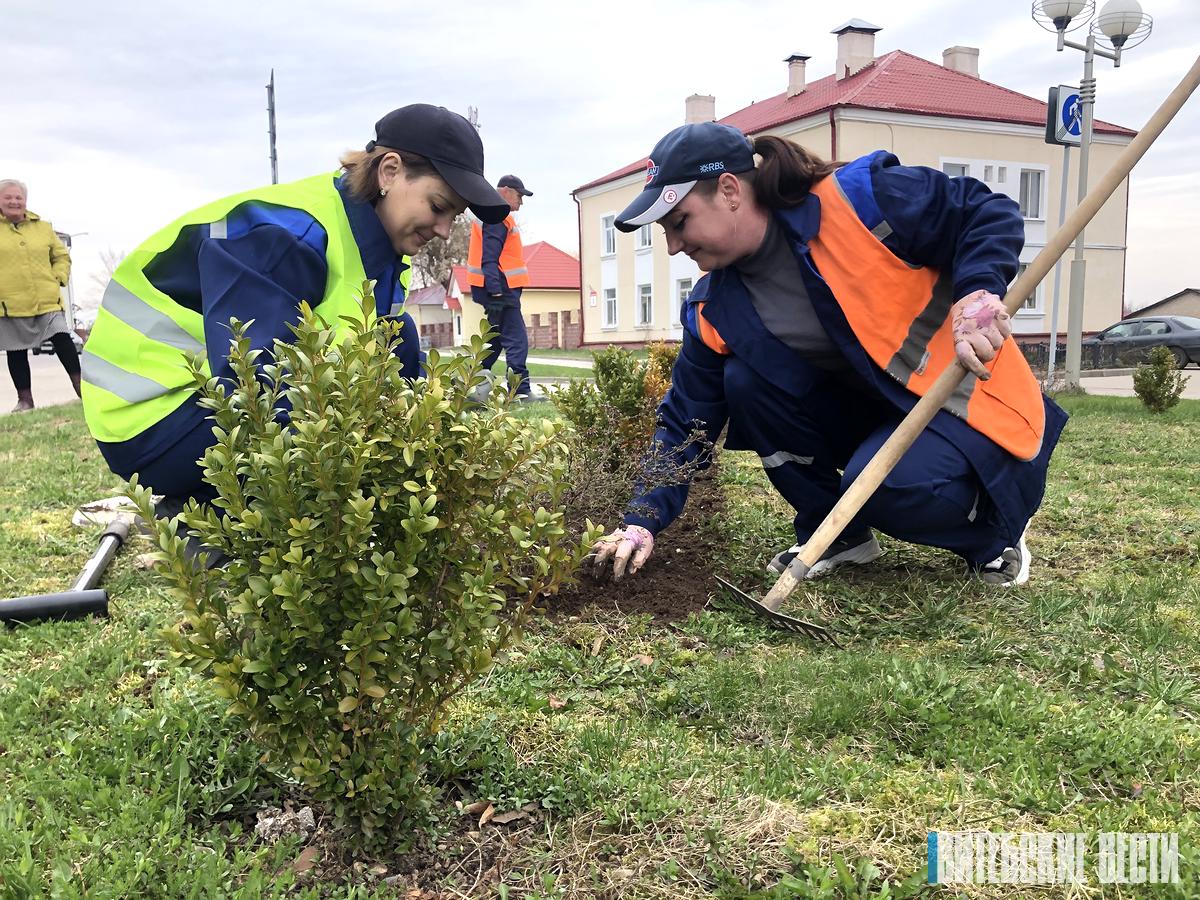 В Сенненском районе особое внимание уделяют наведению порядка в памятных местах и на воинских захоронениях