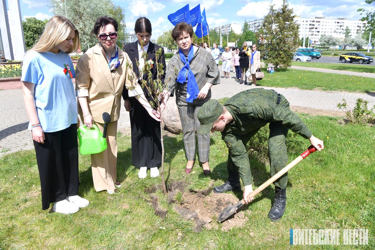 «Аллею женской славы» заложили в Витебске