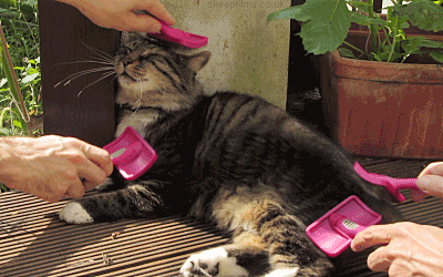 Афиша Витебска: попасть на Beauty Weekend и узнать, что такое Love is…