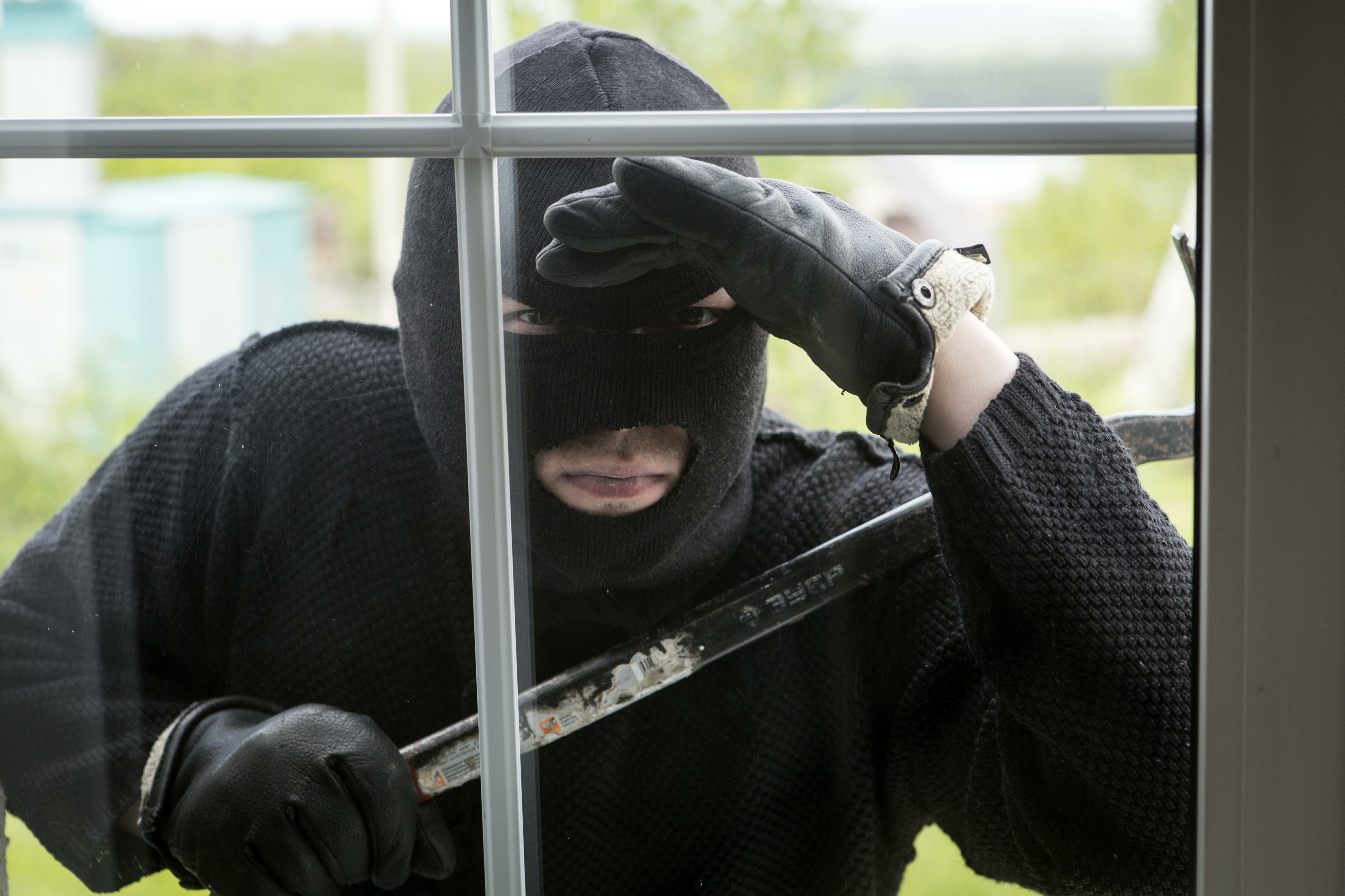 Правоохранители из Витебска задержали серийных дачных воров