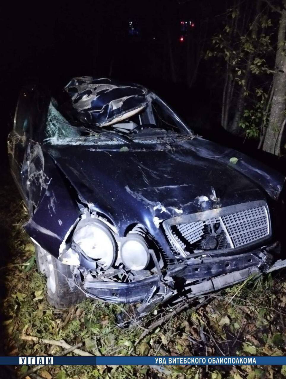 В Витебском районе "Mercedes" столкнулся с диким животным 