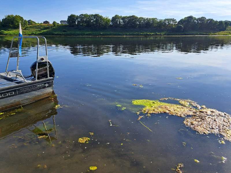 За сутки в Витебской области вода унесла 4 жизни