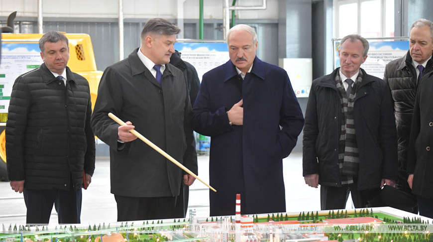 «Чтобы не продавать древесину за бесценок» — Лукашенко рассказал о замысле строительства завода в Светлогорске
