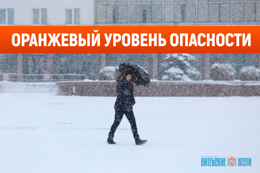 Оранжевый уровень опасности объявлен в Беларуси 19 ноября из-за сильного ветра